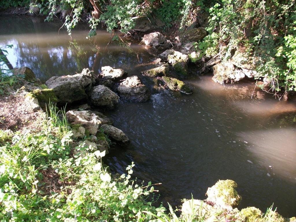 Chambre D'Hote Moulin Du Ru Aulnoy Zewnętrze zdjęcie